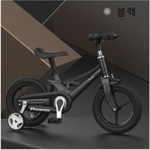 디와이(DY) Phoenix 아동 어린이 자전거 12 14 16인치 레드 무지개 블랙 핑크, 블랙+14인치