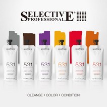 셀렉티브 이태리 531 컬러트리트먼트샴푸 30ml 파우치, 애쉬 30ml