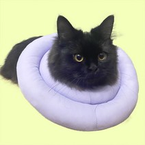 포블럭스 정품 반려동물 페브릭 넥카라 고양이 강아지, 그린