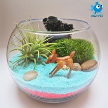 꽃사슴의 쉼터 - 틸란(이오난사) 원형볼 12cm 테라리움 DIY키트 세트, 옥색