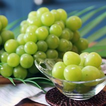 영천 샤인머스켓 2kg (3수)선물세트 에어포장 맛없으면 환불보장!! 선물세트 과일선물세트 명절선물, 샤인머스켓 2kg 선물세트