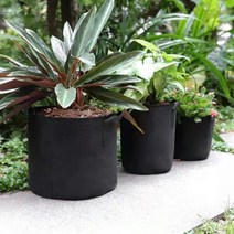 [기간행사]부직포화분 숨쉬는 중 40x30, 단품