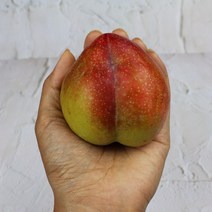 청송 자두 산지직송 햇자두 가을자두 왕자두 추희자두 3kg, 1개, 추희자두 왕 3kg 150g내외
