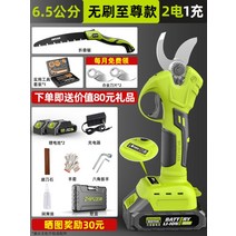 전동 전지 전정 가위 자동 충전 고지 전선 무선 감따는 기구, 09.[6.5cm]세컨드배터리