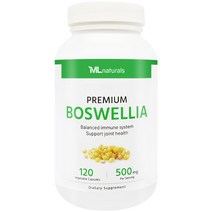 [미국번개배송] 착한명품 마이라이프 내추럴스 보스웰리아 500mg 120정, 1병