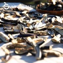 말린가지 100g 건가지 자연건조 가지나물, 1개