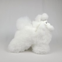 펫마스터 도그위그105 화이트_애견미용자격검정용위그