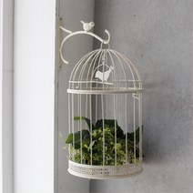 철제스콘서 벽걸이새장 철제 새장장식품 빈티지소품샵 플랜트행어 원예도구 월행잉, 브라운