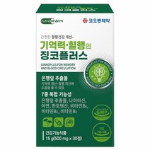 기억력 혈행엔 징코플러스 징코효능 기억력좋아지는영양제 징코추천
