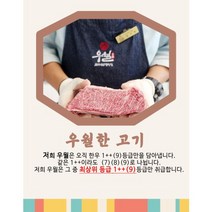 [우월]프리미엄 한우선물세트 1++(9) (이바지 명절선물 기업선물), 1개