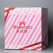 22CM 애니메이션 네이티브 바벨 quotKaede to Suzuquot 호시즈키 카에드 1/6 PVC 액션 피규어 컬렉션 인형 모델 장난감 선물 장식 입상, [04] With retail box soft