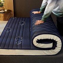 메모리폼토퍼 발열 토퍼 내추럴 메모리 폼 및 라텍스 슈퍼 소프트 매트리스 슬로우 리바운드 다다미 가족