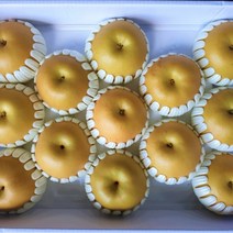 초달달아삭 국내산 배 신고배 신화배 7.5kg 가정용, 국산 배 15kg 32-35과, 1박스