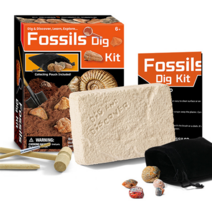 오꿈 보석캐기 고고학자 행성탐사 발굴 KIT, 11 화석