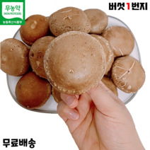 버섯1번지 장흥 무농약 국내산 생 표고버섯 5kg 정품 특상품