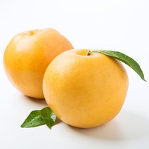 [이프레시] 가정용 햇배, 20.햇배 15kg(대과)