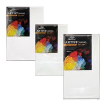 피닉스 아사캔버스 12호 F P M