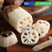 [서안동농협] 흙 연근 알뜰 1kg, 상세 설명 참조