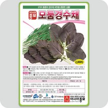모둠 경수채 씨앗 2000립 아시아 모듬 쌈채소