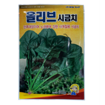 [가람종묘사] 올리브시금치 씨앗(만추대성이며 노균병에 강한 사계절용 품종)