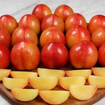 자두제철 임산부자두 새콤달콤꿀자두 풍개자두, 풍개자두 특 2kg, 1개