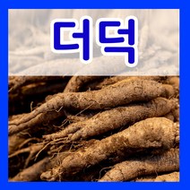 더덕 씨앗 3g 약초 씨 한방 종자 파종 키우기 재배