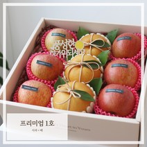 추석명절 과일 선물세트(프리미엄1호), 1개