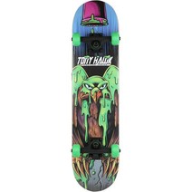 Tony Hawk 31