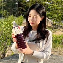 2년숙성 강원도 오미자 오미자청 500ml 원액 효소 문경오지자청, 1.5L