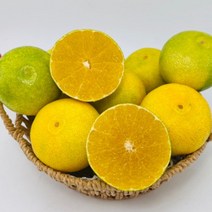 [장보리] 제주 꼬마 황금향 5kg, 상세 설명 참조