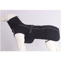 강아지 스쿨룩 프레피 아이비 룩 야구 점퍼 가을 옷 겨울 옷에 대한 도매 의류 재킷 두꺼운 빨간 애완 동물 옷 리트리버 대형 재킷 검은 코트, 흑인, XL