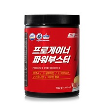 프로게이너 파워부스터 자몽맛 에너지보충제, 500g, 1통