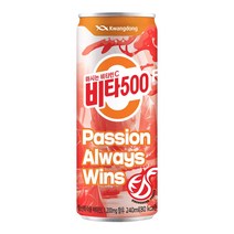 제트스카이 광동제약 비타500, 48캔, 240ml, 240g