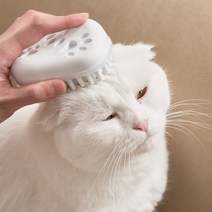 에코후레쉬 펫 브러쉬 / 죽은털 제거