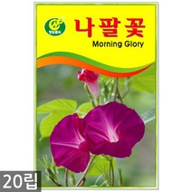 강낭콩 2g - 콩 씨 씨앗 강낭콩씨앗 강남콩씨앗 강낭콩씨, 06_청농_나팔꽃(20립)