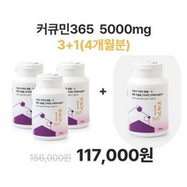 강황 울금 수용성 커큐민 365분말 5000mg 3개 + 1개 무미무취