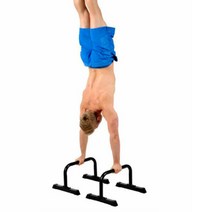 근력운동 플란체 기구 푸쉬업바 딥스바