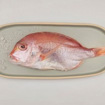 반건조 꽃돔, 600~700g 3~5마리