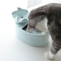 꽃잎 고양이 세라믹정수기 분수 음수대 강아지정수기 급수기, 꽃잎 정수기-민트(본품)