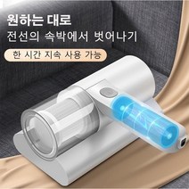 가정용 고주파 진드기 제거기 청소기 살균기 / 추가구매할인, 화이트*1