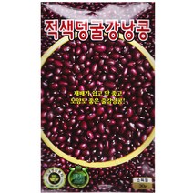 적강낭콩씨앗 30g, 적강낭콩