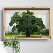 바보사랑 우드프레임액자 왕버들나무(대형).꾸밈