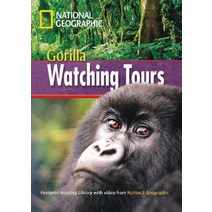 Gorilla Watching tours, 와이비엠시사
