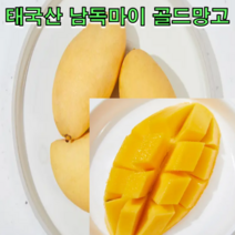 태국산 남독마이 골드망고 2.5kg 5kg 골드 망고 골드 무지개 망고 태국 망고 선물세트, 골드망고 5kg