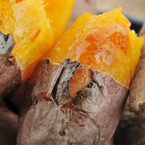 정읍젊은농부 22년 햇 고구마 호박고구마, 10kg 호박고구마 꼬마 (20~40g), 1box