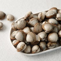 서해안 고창 자연산 해감 동죽조개 물총조개 20kg, 단품