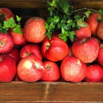 경북 산지직송 당도선별 가정용 정품 꿀사과 부사사과 2kg 3kg 5kg 10kg, (가정용) 10kg / 소과 / 44-47과