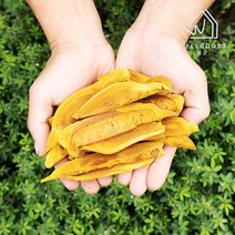 [웰굿] 농장직송 프리미엄 장수 상황버섯 절편 100g, 없음