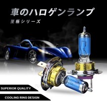 자동차 할로겐 안개등 전조등 램프 2x100W H1 9005 HB3 5000K 쿨 블루 화이트 제논 교체 전구, 한개옵션1, 03 H11