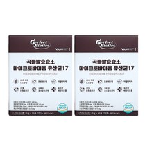 비타민마을 곡물발효효소 마이크로바이옴 유산균 퍼펙트바이오틱스 17 30포, 30포x2박스